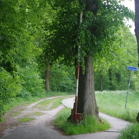 Zoellnerhaus Отель типа 