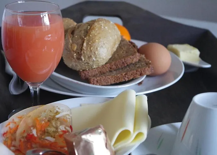 Zoellnerhaus Отель типа 