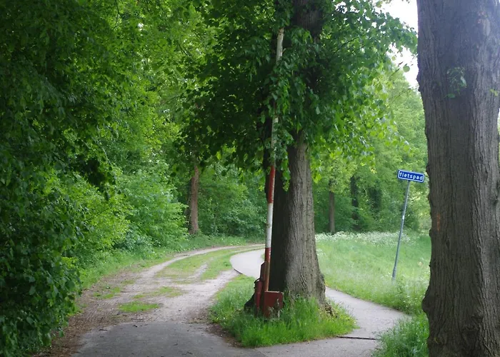 Zoellnerhaus B&B